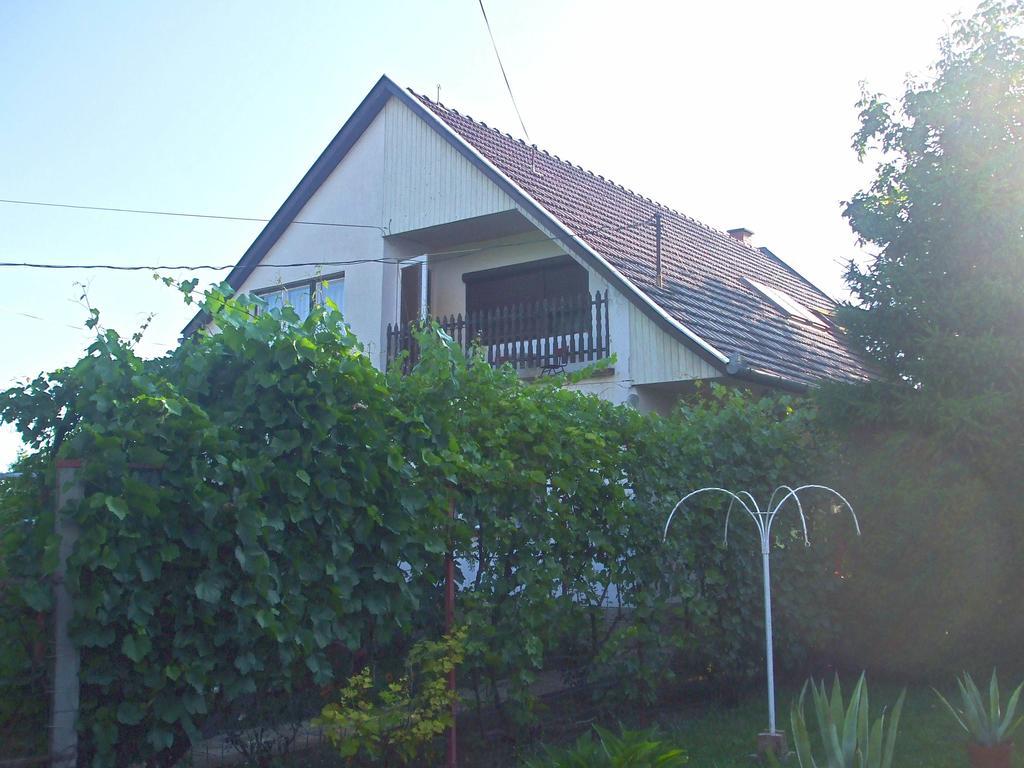SzabadkígyósNagy Haz公寓 外观 照片