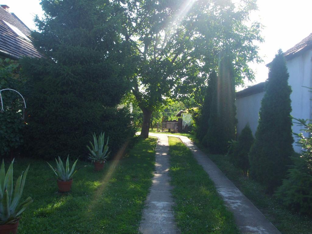 SzabadkígyósNagy Haz公寓 外观 照片